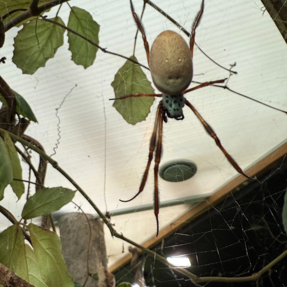 Abingdon & Witney College tweet media