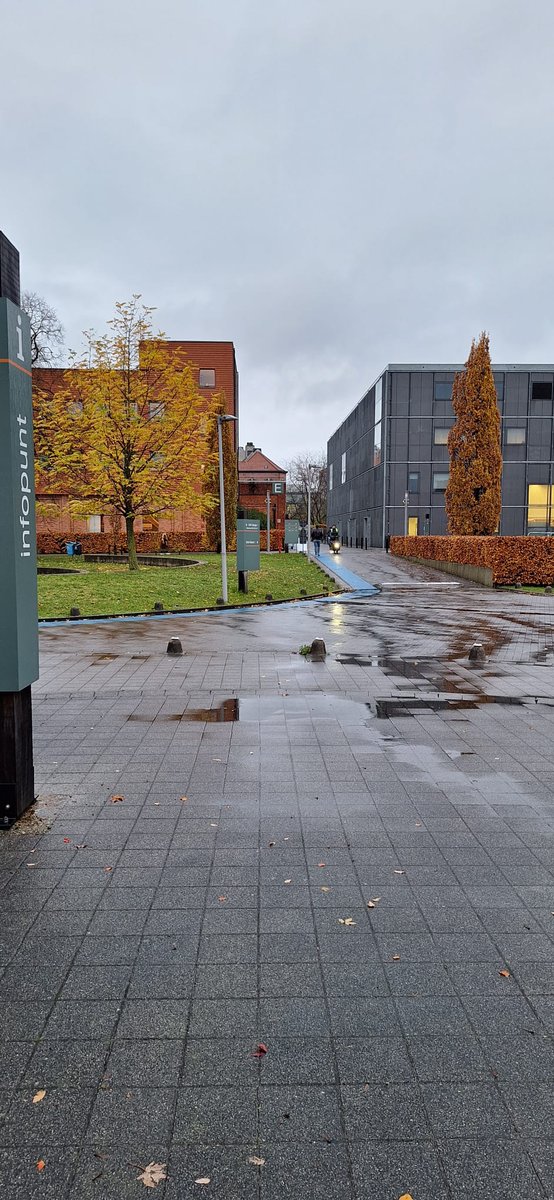 OnderzoekOdisee tweet media