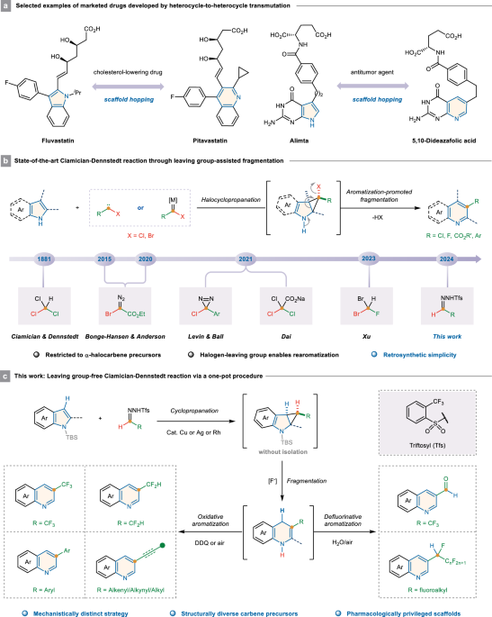 Halogencarbene-free Ciamician-Dennstedt single-atom skeletal editing nature.com/articles/s4146…