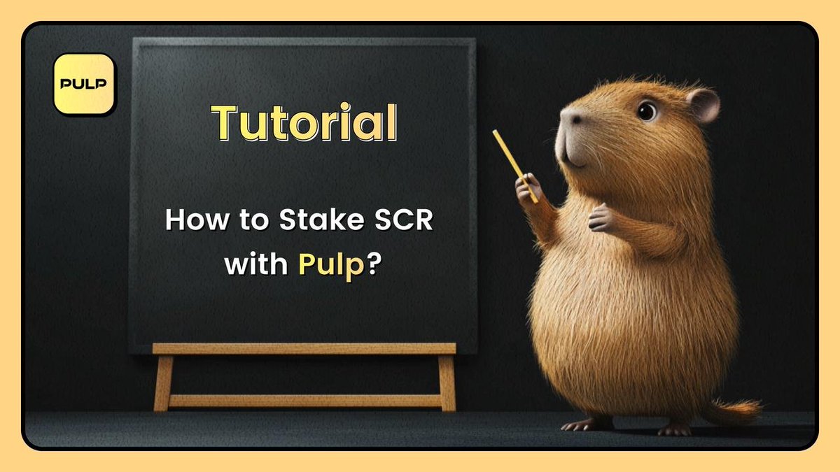 Pulp Finance tweet media