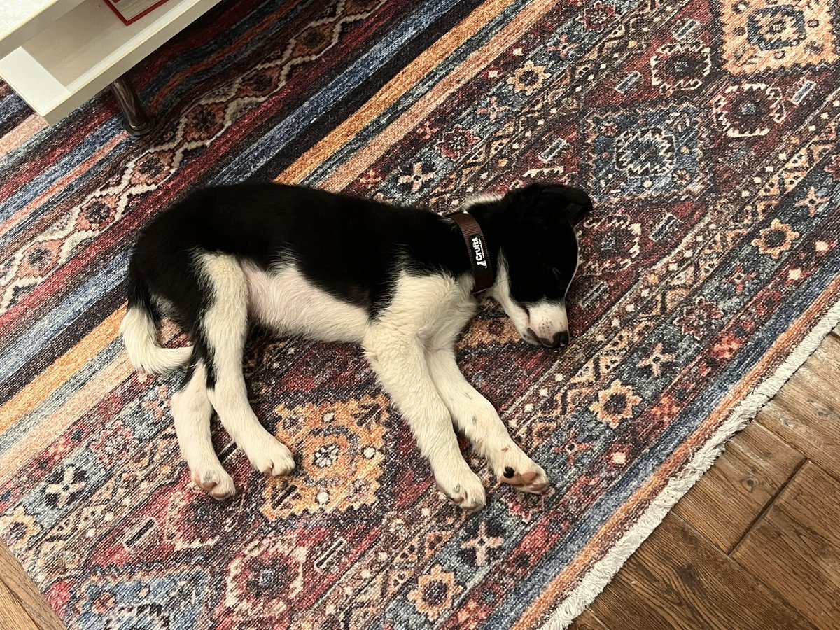 Chapters Bookstore Dublin tweet media