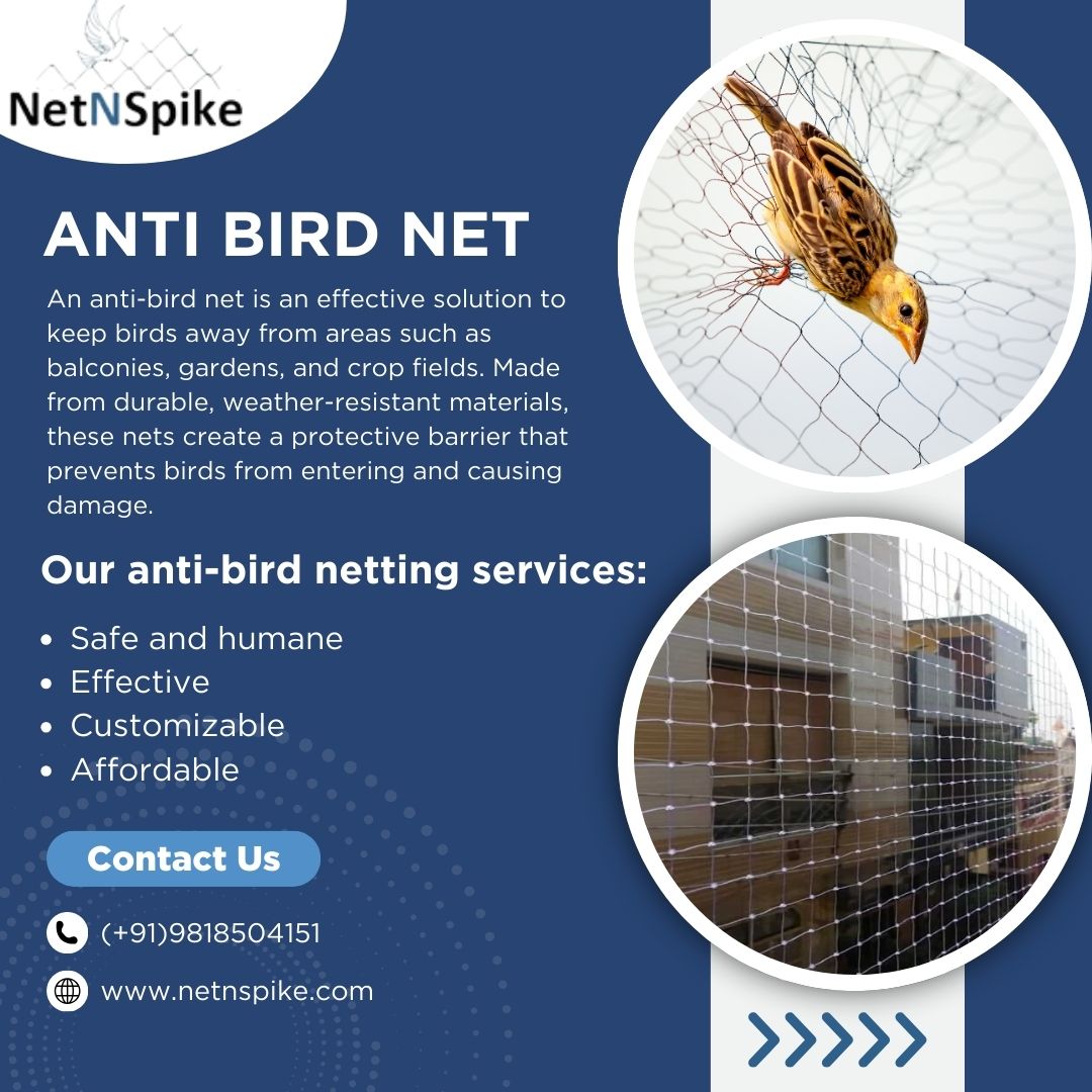 netnspike's tweet photo. Protect your space with Anti Bird Nets from Netnspike! Durable, reliable, and eco-friendly solutions to keep birds away while ensuring safety.
#BirdControl #AntiBirdNet #Netnspike #EcoFriendlySolutions https://t.co/7UEKENbKjQ