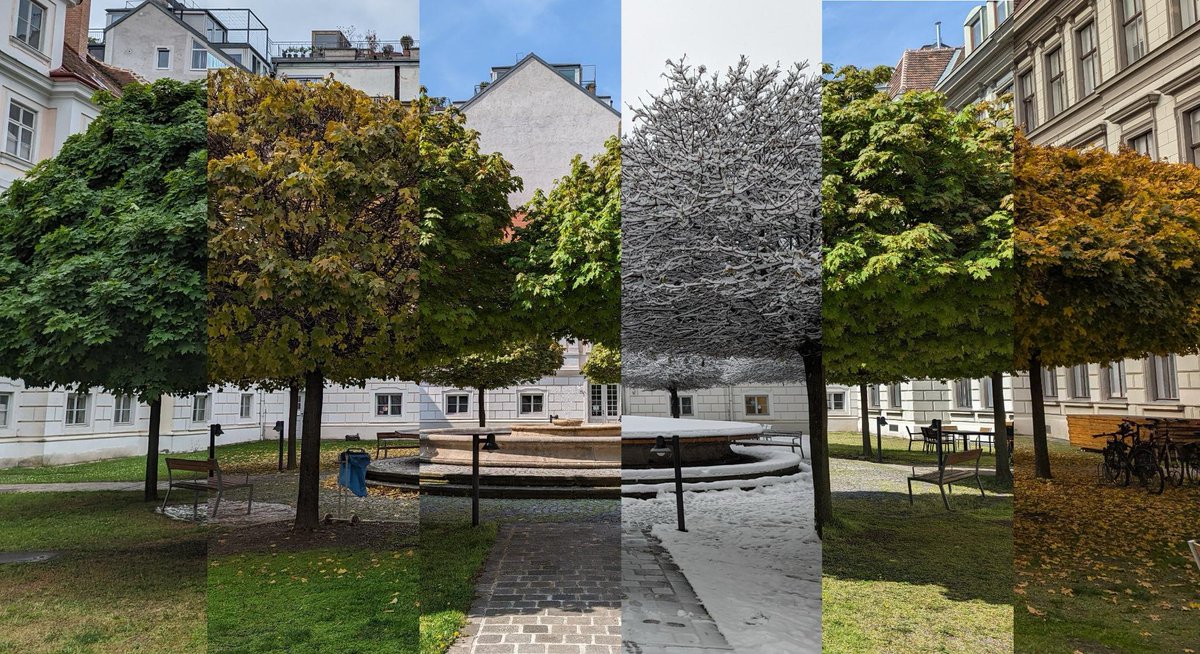 Complexity Science Hub (@cshvienna) on Twitter photo It's already starting to feel a bit nostalgic as we prepare to move to our new campus at Palais Rothschild. 📷 <a href="/CSHVienna/">Complexity Science Hub</a> scientist <a href="/xiangnan_feng/">Xiangnan Feng</a> captured the beauty of our beloved -- and soon to be former -- home in varying seasons.
#nostalgia #SEASONS It's already starting to feel a bit nostalgic as we prepare to move to our new campus at Palais Rothschild. 📷 <a href="/CSHVienna/">Complexity Science Hub</a> scientist <a href="/xiangnan_feng/">Xiangnan Feng</a> captured the beauty of our beloved -- and soon to be former -- home in varying seasons.
#nostalgia #SEASONS