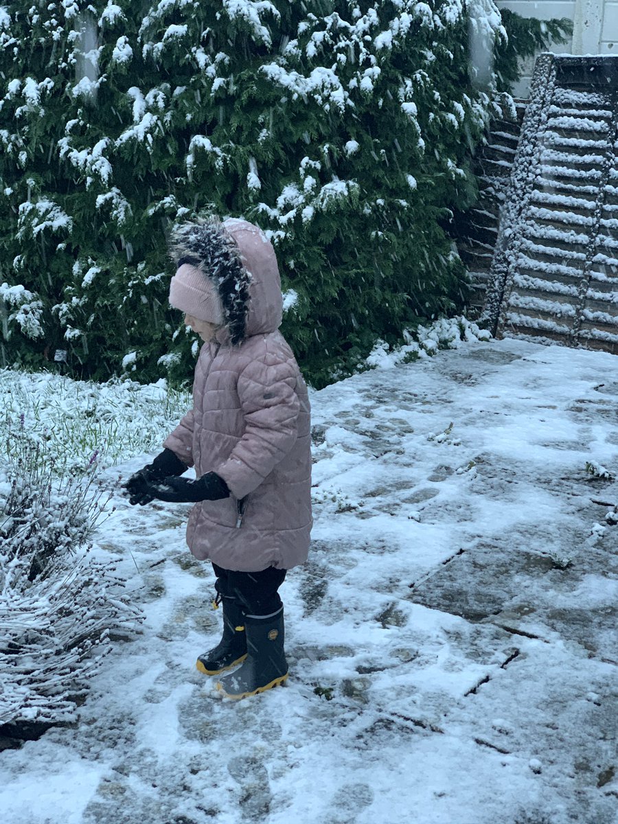 The Anchoress tweet media