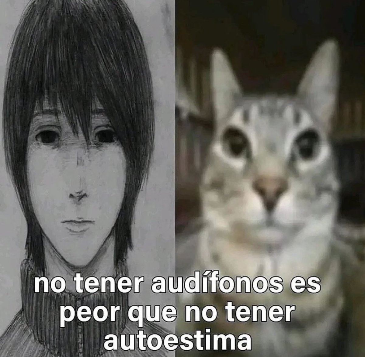 Memakker (@memakker) on Twitter photo 