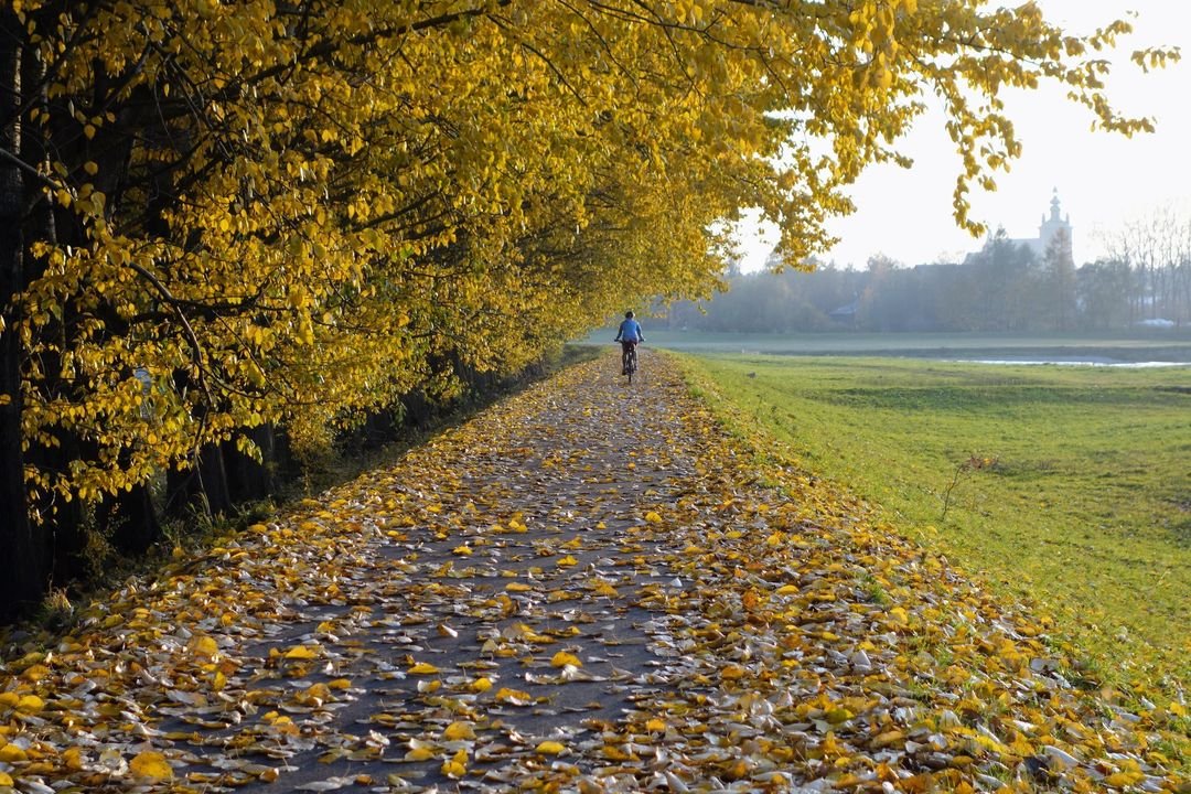 56 mln zł przewidziano na rozwój tras rowerowych w projekcie budżetu województwa małopolskiego na rok 2025 r. W ramach tej kwoty ma powstać ok. 65 km nowych tras rowerowych sieci #VeloMalopolska
#małopolska