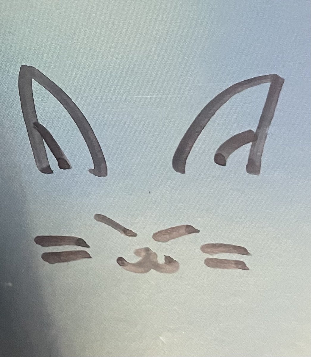 goro_MABY's tweet photo. なごちゃんが思う自分に似てる動物フェネックらしい笑（めっちゃかわいい）
アイコンこれにします！！

 #新しいプロフィール画像 https://t.co/k0I6oj8O5I