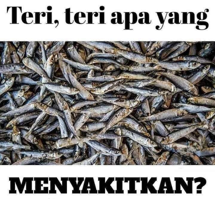 KucengTerbanggg's tweet photo. https://t.co/Mt4KJDG7fu