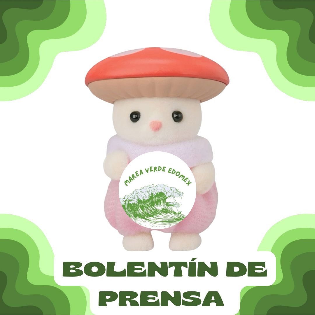 📢 Es momento de alzar la voz 💚  

Desde la #MareaVerdeEdoMex hacemos un llamado urgente a todos los grupos parlamentarios para construir consensos y legislar a favor de los derechos de las mujeres y personas gestantes.

C.c.p: <a href="/EliasRescalaJ/">Elías Rescala Jiménez</a> <a href="/horacioduarteo/">Horacio Duarte Olivares</a> ✌🏽