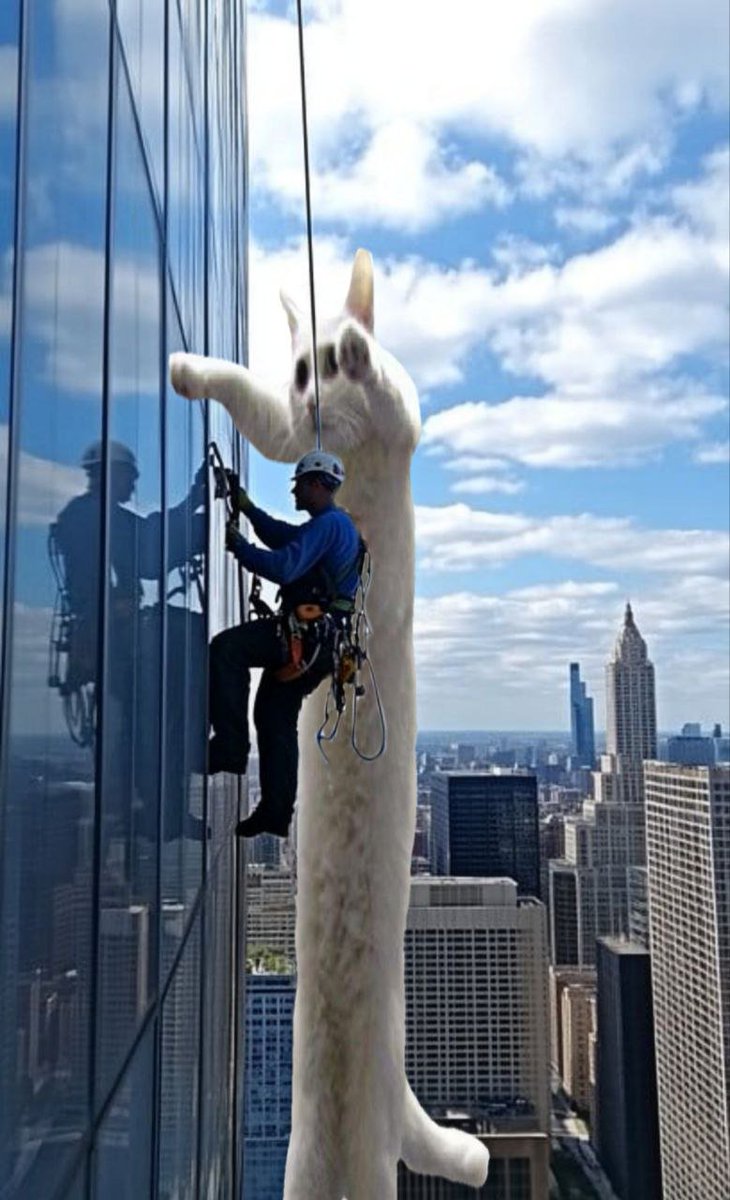 LongCat CTO tweet media