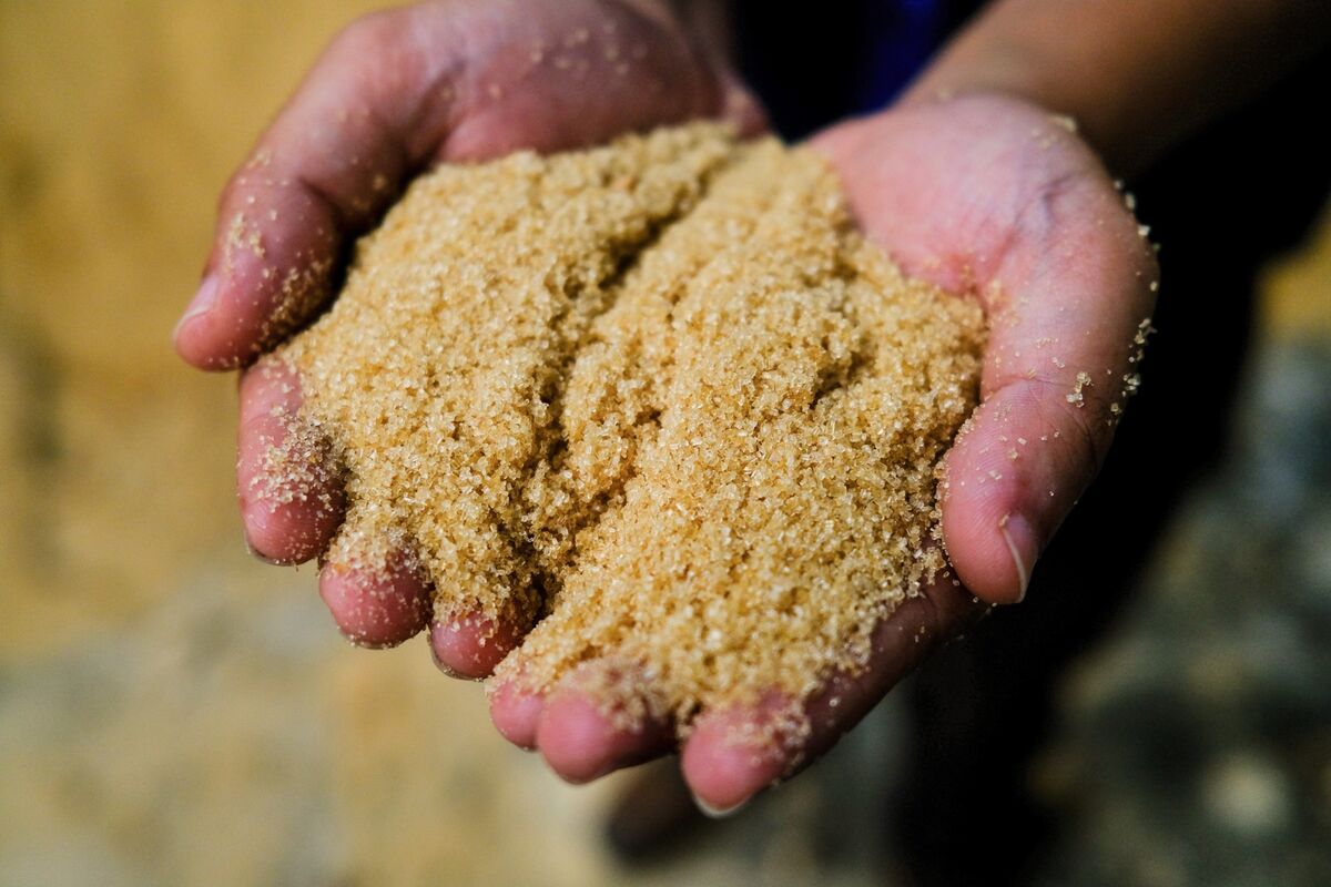AGRIDevelopmnts's tweet photo. Sugar prices have reached a 16 year high as surging fires and drought slam fields in top grower Brazil, threatening higher costs for sweets &amp; desserts. 

#Agriculture #Food #ClimateChange #Finance #Investment #Philippines #AGRIDevelopments

https://t.co/spByAy6z8w https://t.co/GVsD9NTwdX