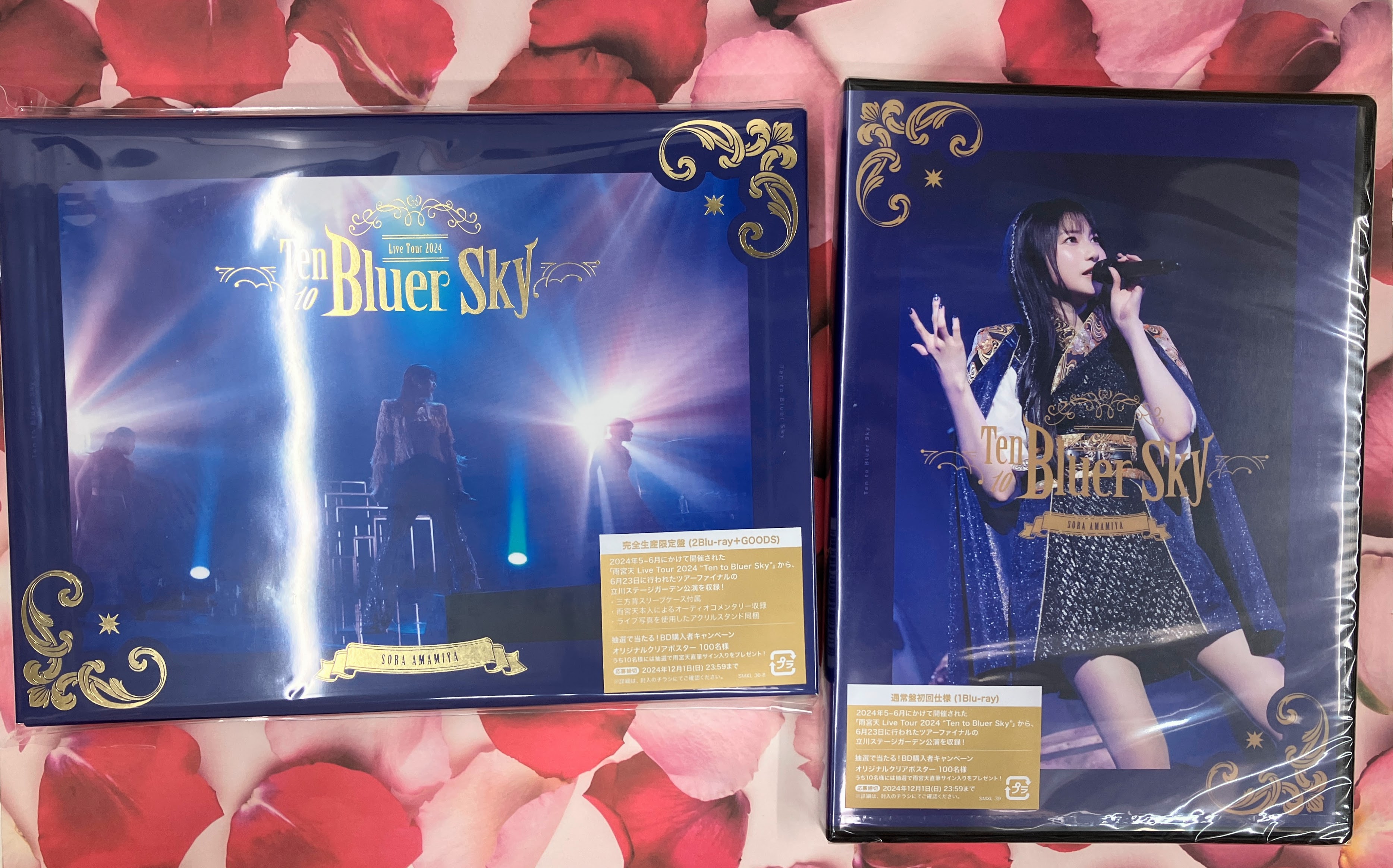 雨宮天 Live Tour 2024 店頭抽選会 告知ポスター