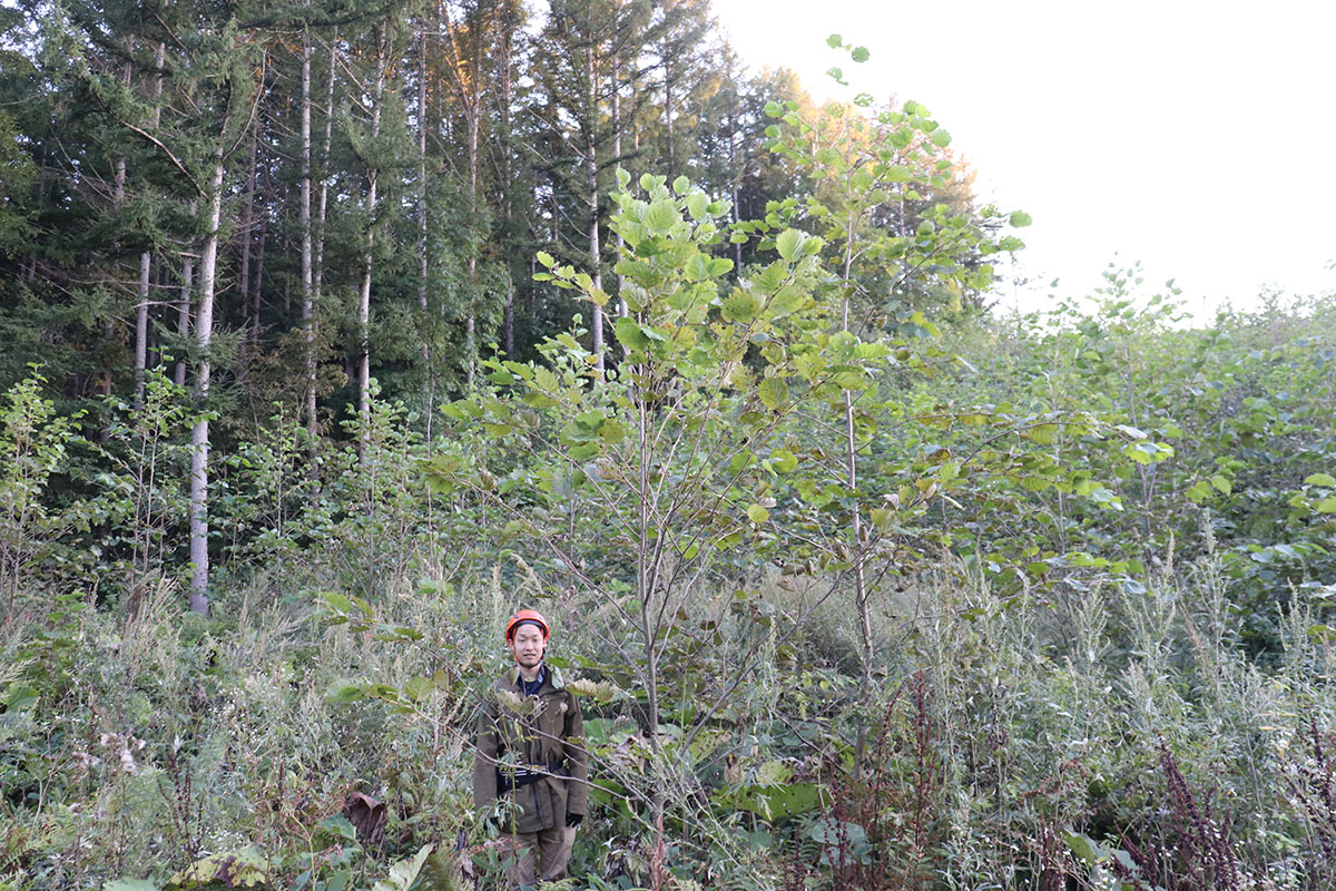 more treesの陽気な山男タッキーさん。秋は全国各地の森を飛び回って種採りをしたり、植林をしたり、現地ツアーを開催したりと大忙しです。この日は #北海道美幌町 の旭小学校の子どもたちとの森づくりイベントにあわせて、植林地での #生育調査 を行っていました。 bit.ly/3ZdWR4D