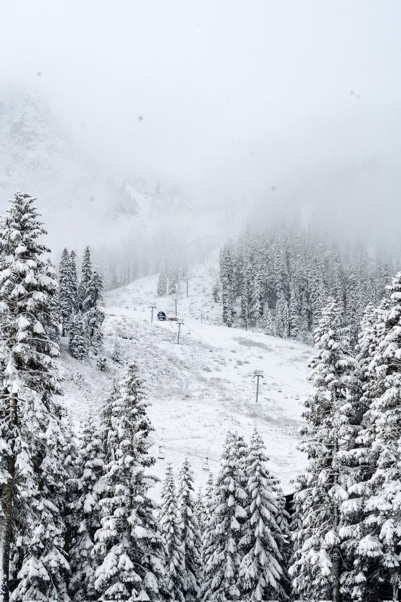 SummitSnow411's tweet image. Thanks to this weekend’s storm cycle the mountain is now blanketed in a fresh coat of white.
While this isn't enough snow to announce an opening, it is a great start to building up a good base. Keep your eyes on the forecast and keep up those snow dances!