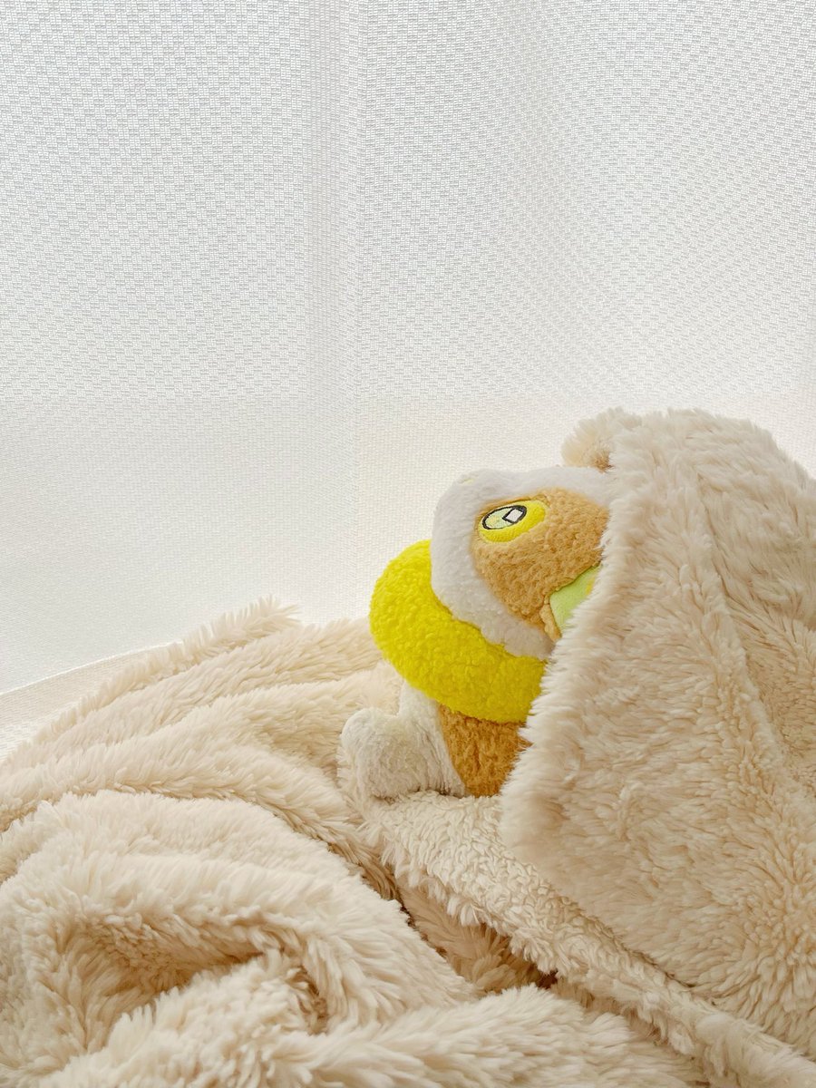 ぼそぼそのワンパチ (@bosopachi) on Twitter photo 