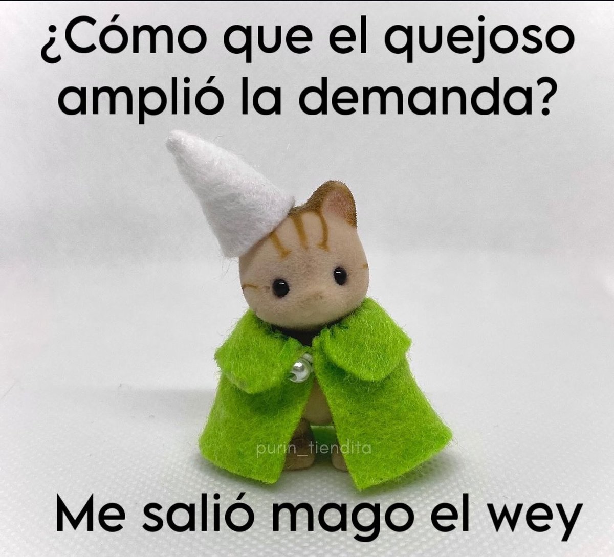 Ternurin en curva de aprendizaje:
