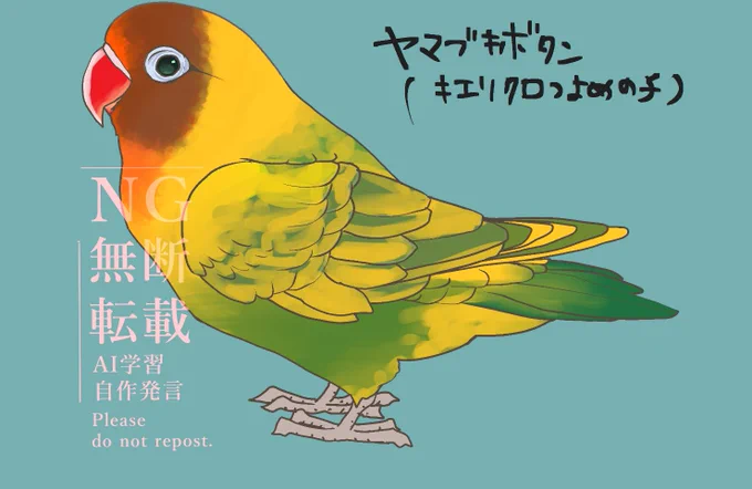 オーダーのボタンインコちゃん修正しました^^今後大きな画像などには念のため、ウォーターマークなど入れていきますのでよろしくお願いします 