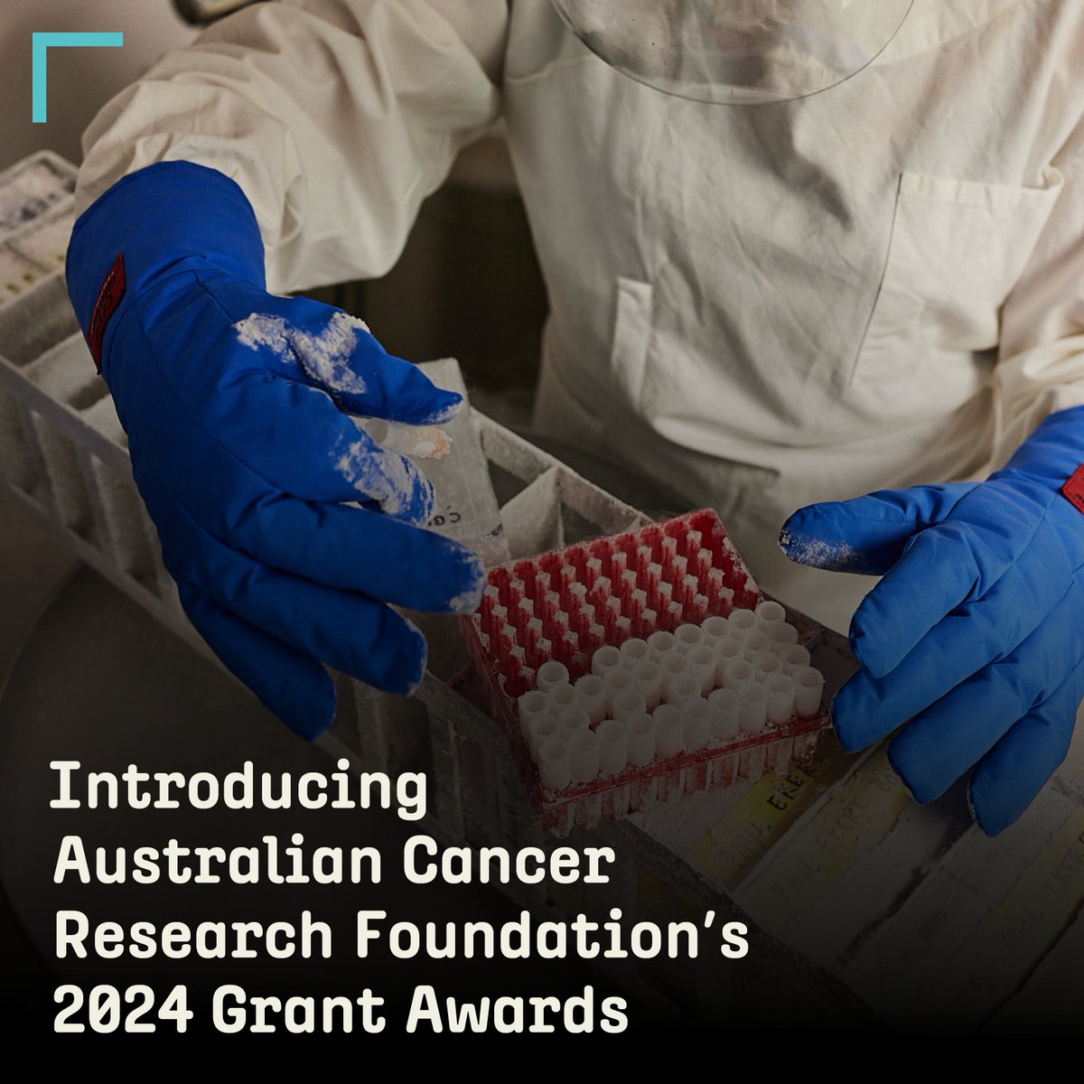 Australian Cancer Research Foundation (@cancer_research) on Twitter photo ACRF's 2024 Grant Awards. A record $20M awarded to:
$10M <a href="/PeterMacCC/">Peter Mac Cancer Centre</a> world-first total-body PET/CT
$5M <a href="/KidsCancerInst/">Childrens Cancer Institute</a> tackling childhood cancer
$2M <a href="/AlfredHealth/">The Alfred</a> <a href="/MonashUni/">Monash University</a> personalising immunotherapy
$3M <a href="/PeterMacCC/">Peter Mac Cancer Centre</a> cracking the immuno code
bit.ly/3CvC1oe ACRF's 2024 Grant Awards. A record $20M awarded to:
$10M <a href="/PeterMacCC/">Peter Mac Cancer Centre</a> world-first total-body PET/CT
$5M <a href="/KidsCancerInst/">Childrens Cancer Institute</a> tackling childhood cancer
$2M <a href="/AlfredHealth/">The Alfred</a> <a href="/MonashUni/">Monash University</a> personalising immunotherapy
$3M <a href="/PeterMacCC/">Peter Mac Cancer Centre</a> cracking the immuno code
bit.ly/3CvC1oe