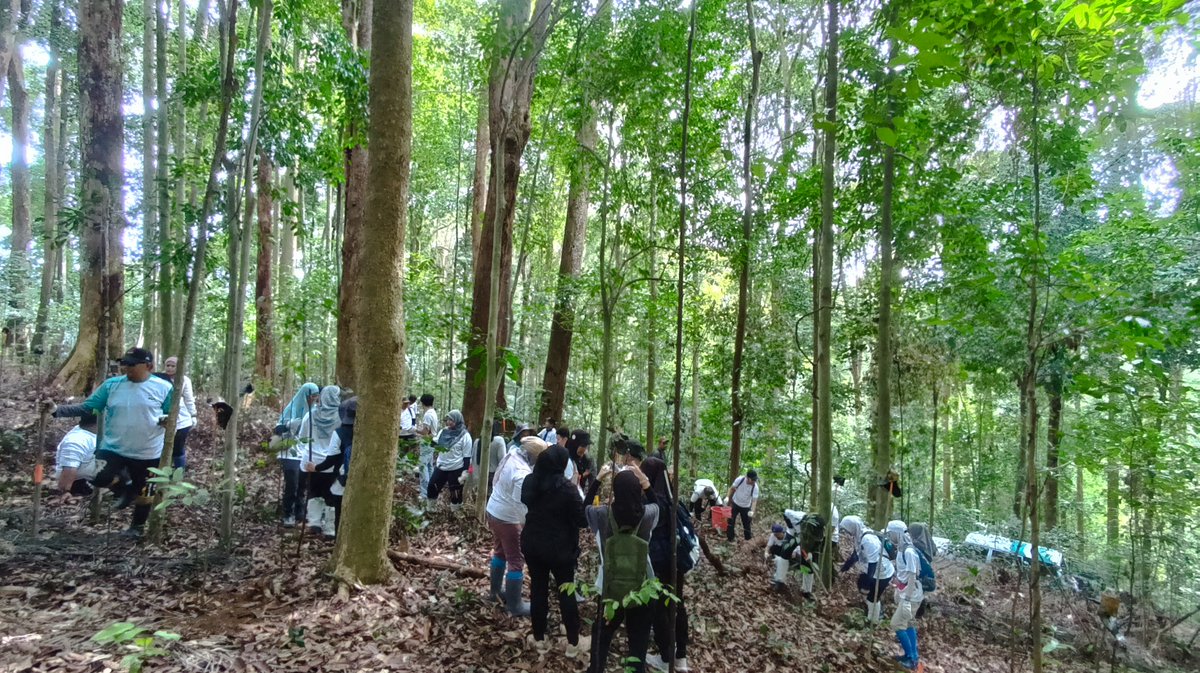 FRIMKepong's tweet photo. 📅9/11
36 staf @BSNMalaysia #KualaLumpur tanam 40 pokok di @FRIMKepong bg menyokong Kempen Penanaman @100jutapokok 

#PokokKitaKehidupanKita #OurTreesOurLife #100JutaPokok #CSR_FRIM #FRIMTanamPokok #TreePlantingFRIM #BSNMalaysia #BSN50Tahun https://t.co/tZcfCGZGUn