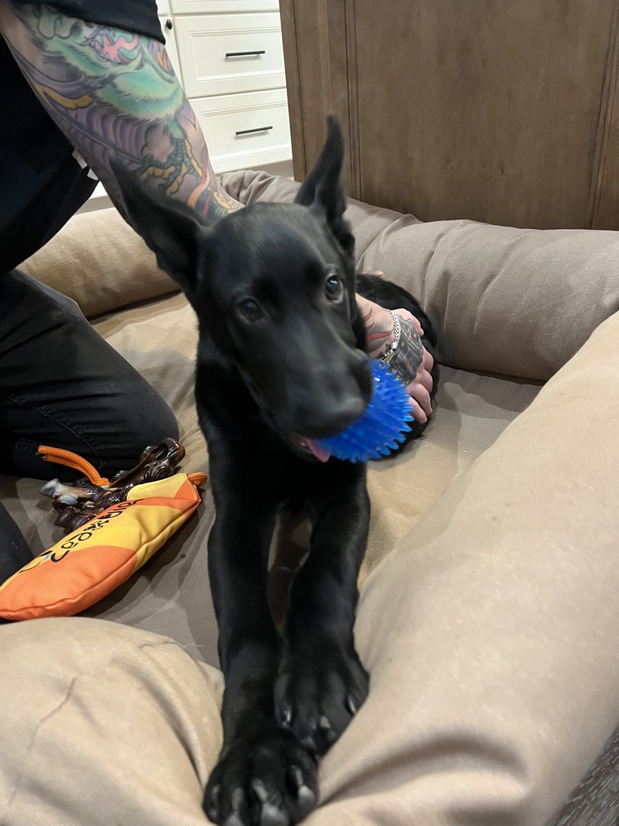 Welcome
Home Cole! You are perfection 🖤