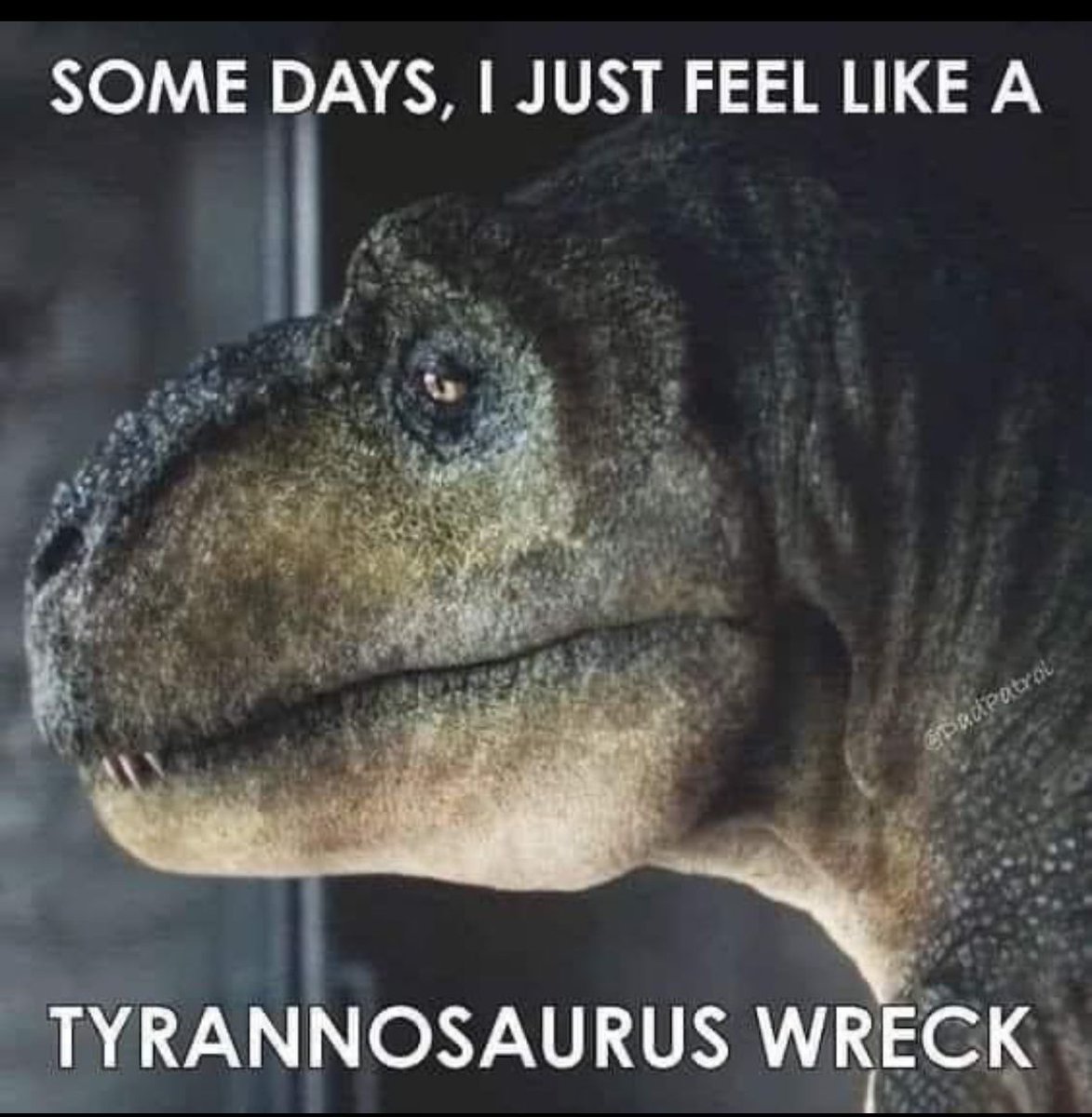 ADHDForReal's tweet image. 