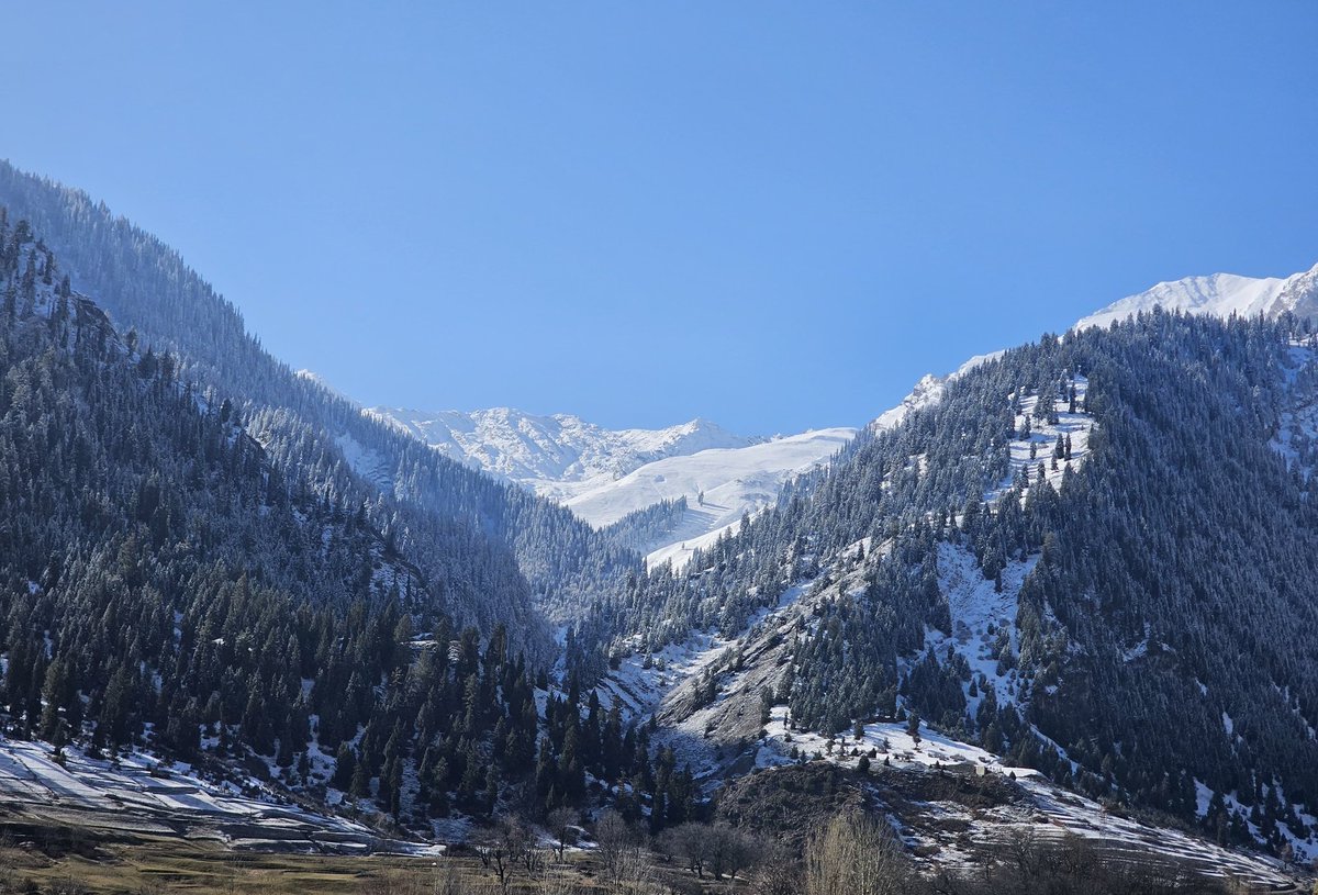 KNSKashmir's tweet photo. #KNSUPDATE||• Pictures from famous #Tourist destination #Gurez after recent #Snowfall.

@JandKTourism @diprjk @dcbandipora https://t.co/Bd1NX4QjMz