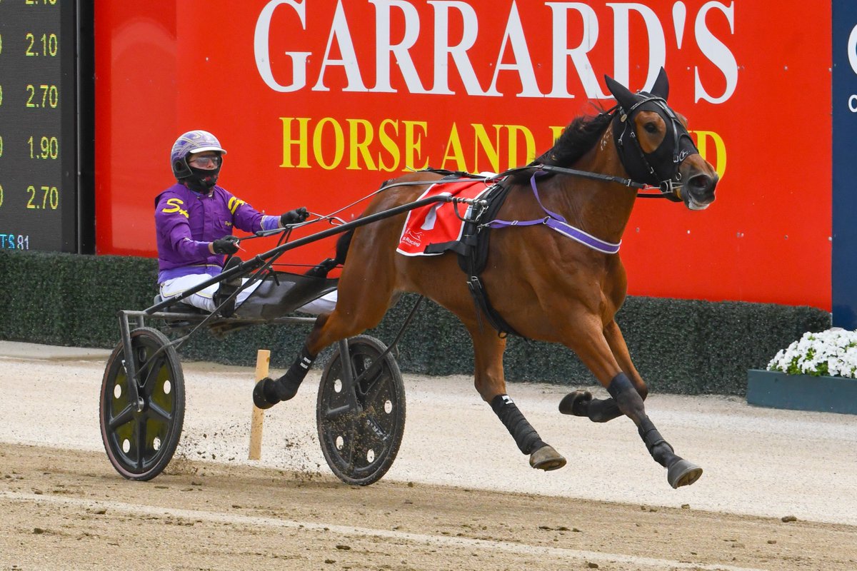 Club Menangle tweet media