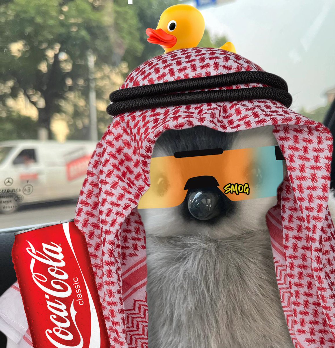 Better Call Larry🐧🐧 tweet media