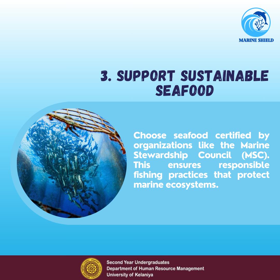 Marine_Shield's tweet photo. Small Actions, Big Waves: Simple Tips to Protect Life Below Water! 🌍💙

Discover easy ways to safeguard our oceans and support marine life. Let’s create a ripple effect for a sustainable future! 🐠 

#MarineShieldTips
#SaveOurSeas
#LifeBelowWater
#SDG14 https://t.co/6PIBmAlwQr