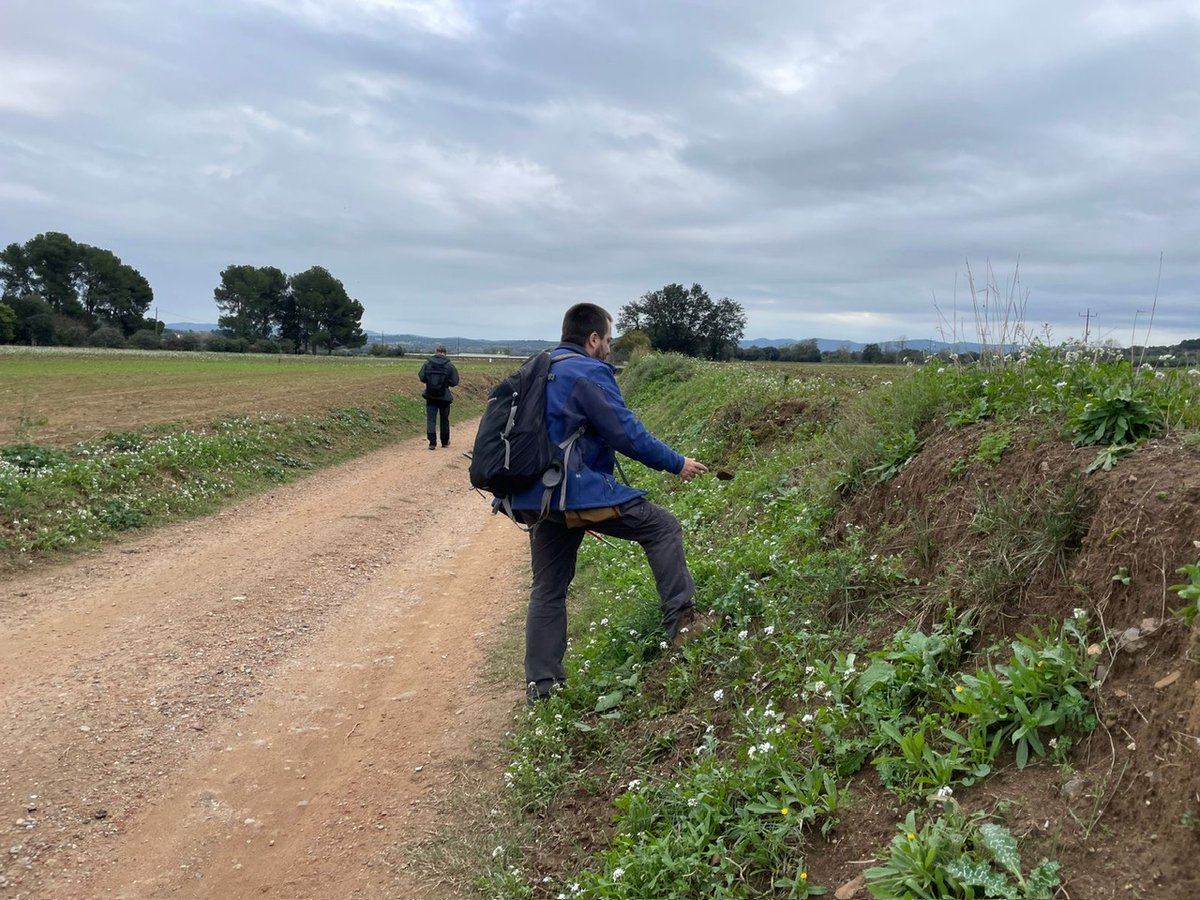 We have begun archaeological and #geomorphological surveys in the Baix #Empordà area in order to analyse, from the perspective of #landscape archaeology, this territory as a cultural space in all its dimensions: environmental, social and human. Let's go! 
<a href="/ICAC_cat/">ICAC-CERCA, Institut Català d'Arqueologia Clàssica</a> #SomCERCA