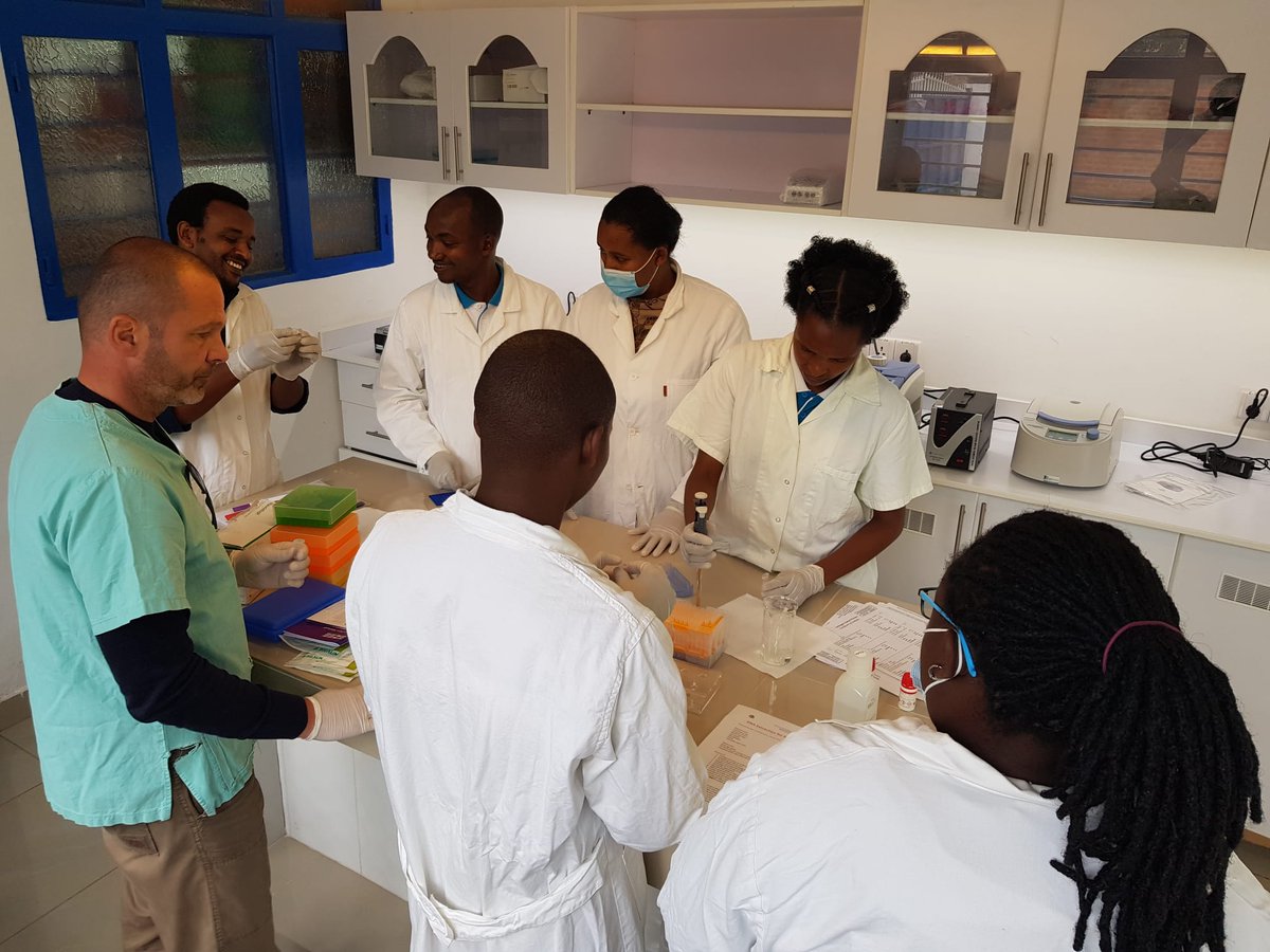 🦠 A new research #Rwanda reveals a high diversity of extended-spectrum cephalosporin-resistant Enterobacterales in ruminants. Such evidence boosts #WAAW, #AMR surveillance, driving to global actions
Read more: doi.org/10.1186/s12917… #WAAW2024  #EducateAdvocateActNow  #OneHealth