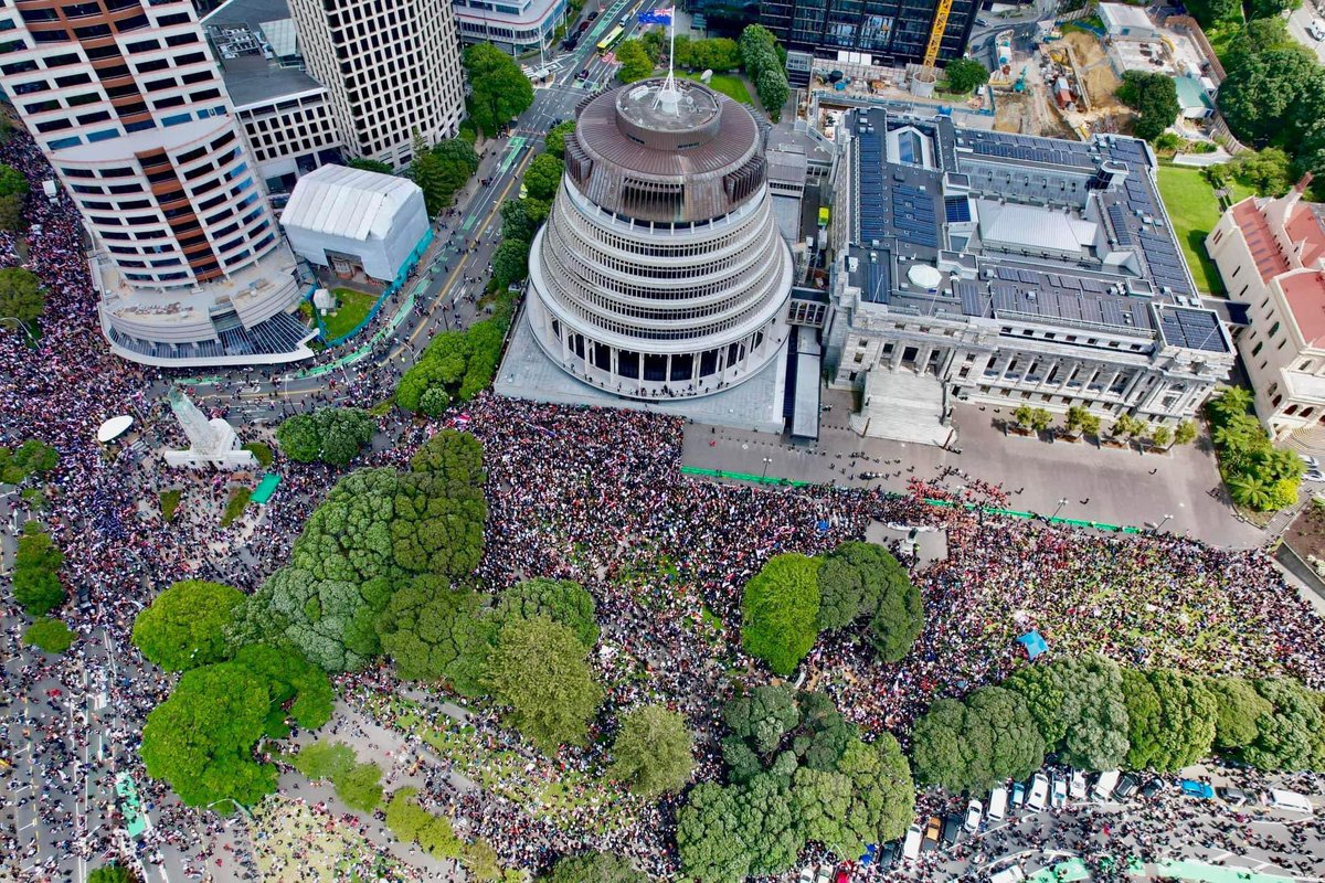 Thomas Nash tweet media