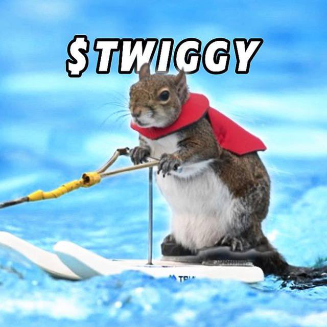 <a href="/pnutsolana/">PNUT - Peanut The Squirrel</a> Pnut your brother <a href="/twiggyonsol/">TWIGGY The Squirrel | FAN Page</a> is coming