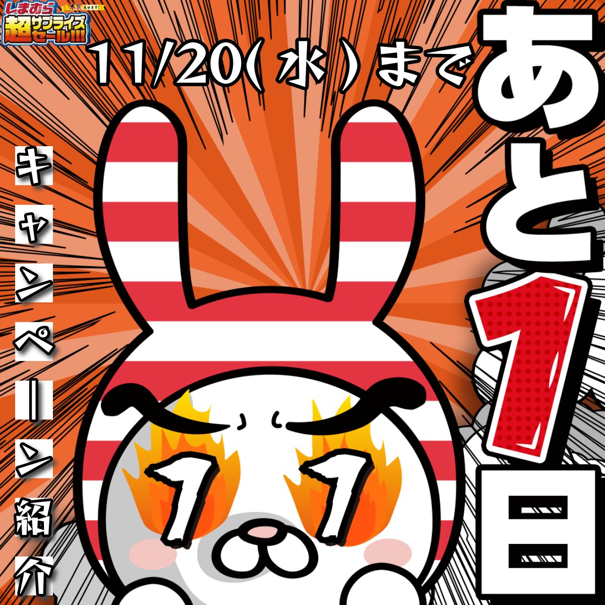 ついに明日11/20（水）は【しまむら超サプライズセール！】🔥 今回は