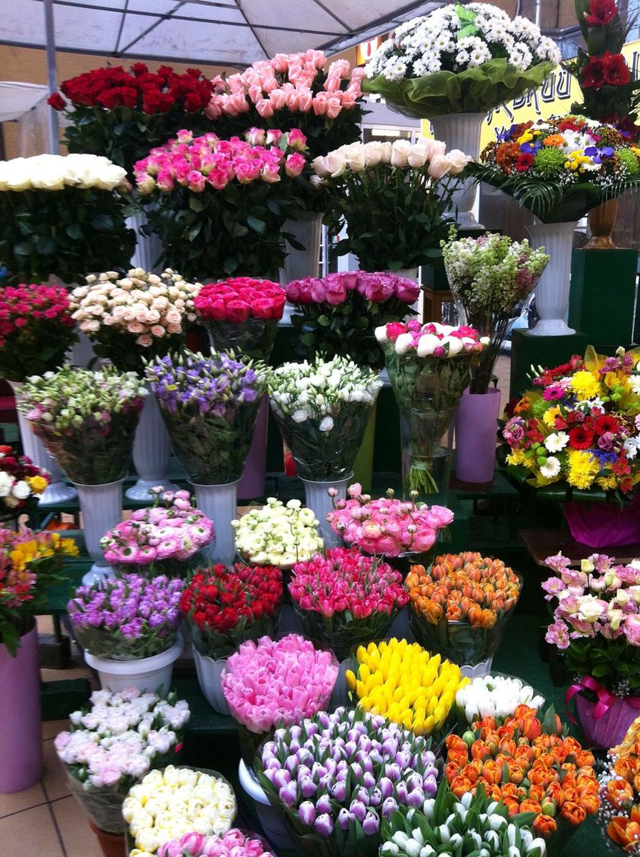 i3Moment's tweet photo. Colorful flowers https://t.co/uaLgtvYFZy