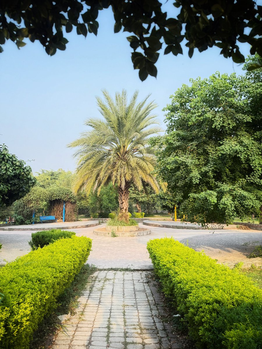 AnHeartist's tweet image. In the stillness of nature, one finds solace and wisdom. #RandomThoughts #Randomshot