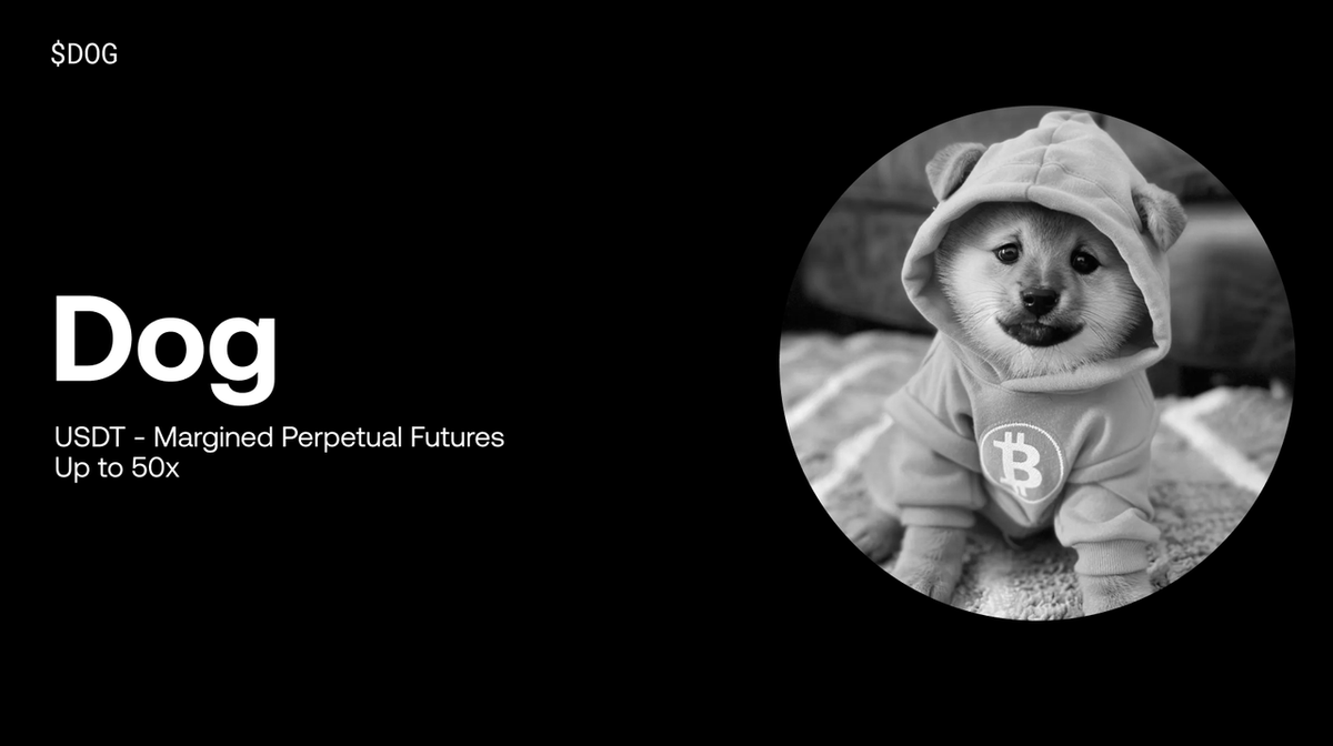 🚨 New Futures Alert 

$DOG/USDT <a href="/LeonidasNFT/">Leonidas 🧡 $DOG</a> Perpetual Futures trading is LIVE on #OKX!

Trade now: bit.ly/4fTZRbB