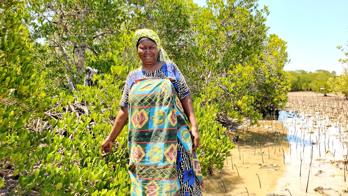 Treegens tweet media