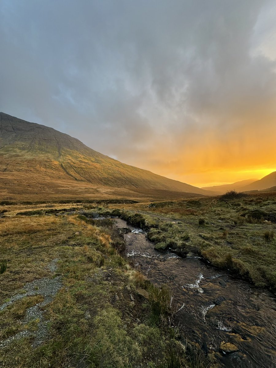 Chloe Jennett tweet media