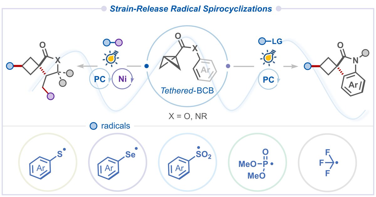 HariGroupIISc's tweet image. A research account of our work on strain-enabled spirocyclization cascades has been published @synlett_journal. Thank you, @iiscbangalore @serbonline, for the financial support.
thieme-connect.com/products/ejour…