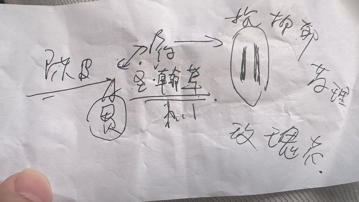 经常去的康宁医院医生已经认识我了 她给我把脉 说我脾胃不好 压力很大 给我开疏通心情的药 说医保可以报销 可惜我也没有当地的医保