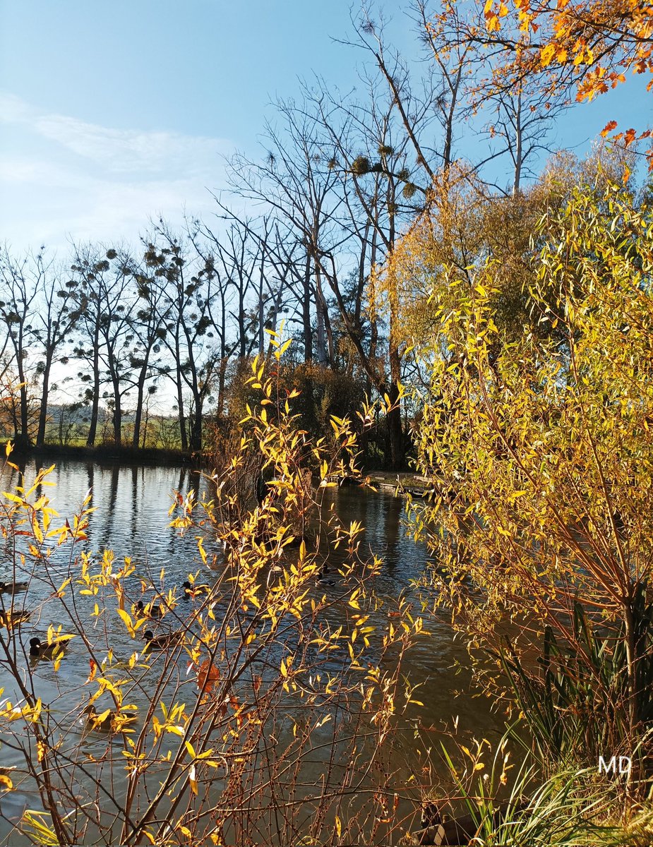 Martina Dvorská (@martinadvorsk2) on Twitter photo 