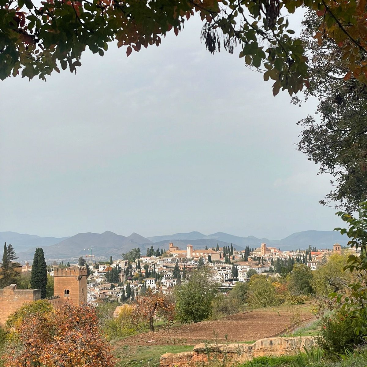 DINEvent tweet media