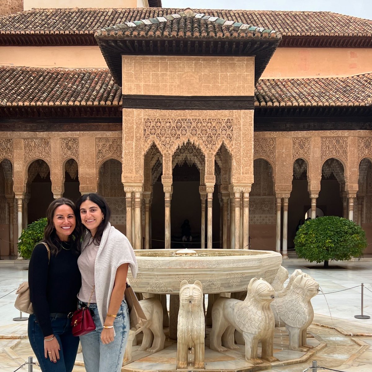 DINEvent tweet media