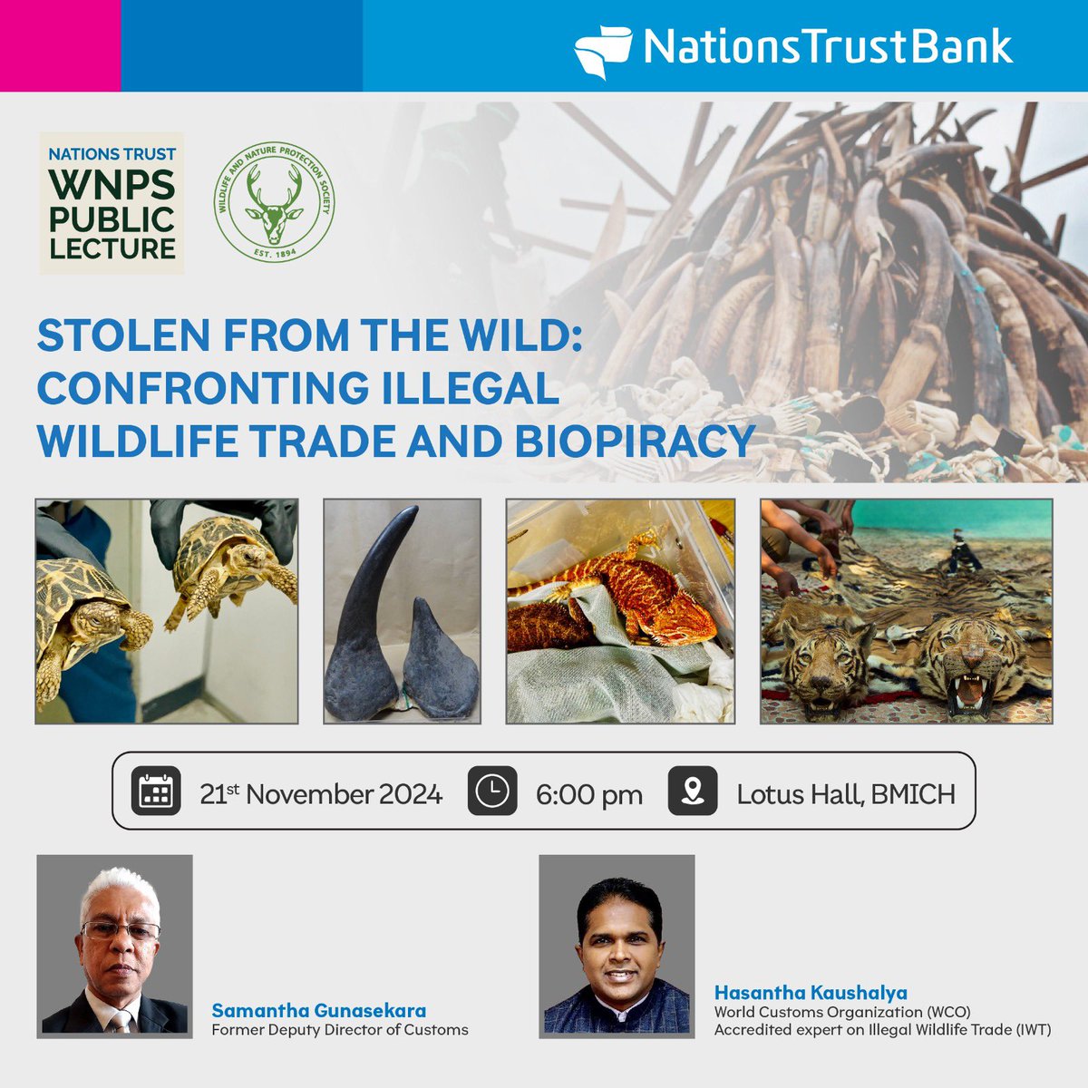 Join us for an insightful lecture that explores the threats that impact Sri Lanka’s biodiversity and ecological balance. The latest lecture in November hosted by the Wildlife and Nature Protection Society (WNPS) in partnership with Nations Trust Bank is a free event open to all.