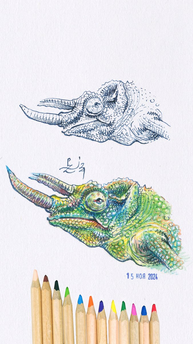 pakowacz's tweet image. Draw chameleon with dip pen and colored pencils #dippen #relaxingart #cooldrawing #coloredpencils #sketch #chameleon 

youtube.com/shorts/PGBFisu…