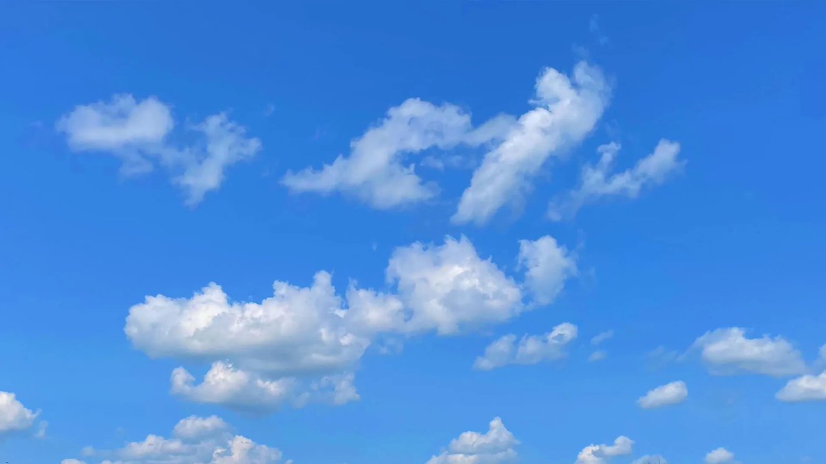 PACEA (@pacea_bordeaux) on Twitter photo The lab is spreading its wings and migrating to Bluesky. We're prioritizing open and respectful spaces for academic discourse <a href="/CNRSecologie/">CNRS Écologie & Environnement</a> <a href="/univbordeaux_EN/">University of Bordeaux</a> <a href="/CNRSAquitaine/">CNRS Aquitaine</a> <a href="/CNRS/">CNRS 🌍</a> <a href="/P2EST_CEPAM/">STEP_CEPAM_CNRS</a> @BrunoDavidMNHN <a href="/teyssand31/">Nicolas Teyssandier</a> <a href="/MDPetraglia/">Michael Petraglia</a> <a href="/huw_groucutt/">Huw Groucutt</a> <a href="/jjhublin/">Jean-Jacques Hublin</a> <a href="/MaximeDerex/">Maxime Derex</a> The lab is spreading its wings and migrating to Bluesky. We're prioritizing open and respectful spaces for academic discourse <a href="/CNRSecologie/">CNRS Écologie & Environnement</a> <a href="/univbordeaux_EN/">University of Bordeaux</a> <a href="/CNRSAquitaine/">CNRS Aquitaine</a> <a href="/CNRS/">CNRS 🌍</a> <a href="/P2EST_CEPAM/">STEP_CEPAM_CNRS</a> @BrunoDavidMNHN <a href="/teyssand31/">Nicolas Teyssandier</a> <a href="/MDPetraglia/">Michael Petraglia</a> <a href="/huw_groucutt/">Huw Groucutt</a> <a href="/jjhublin/">Jean-Jacques Hublin</a> <a href="/MaximeDerex/">Maxime Derex</a>
