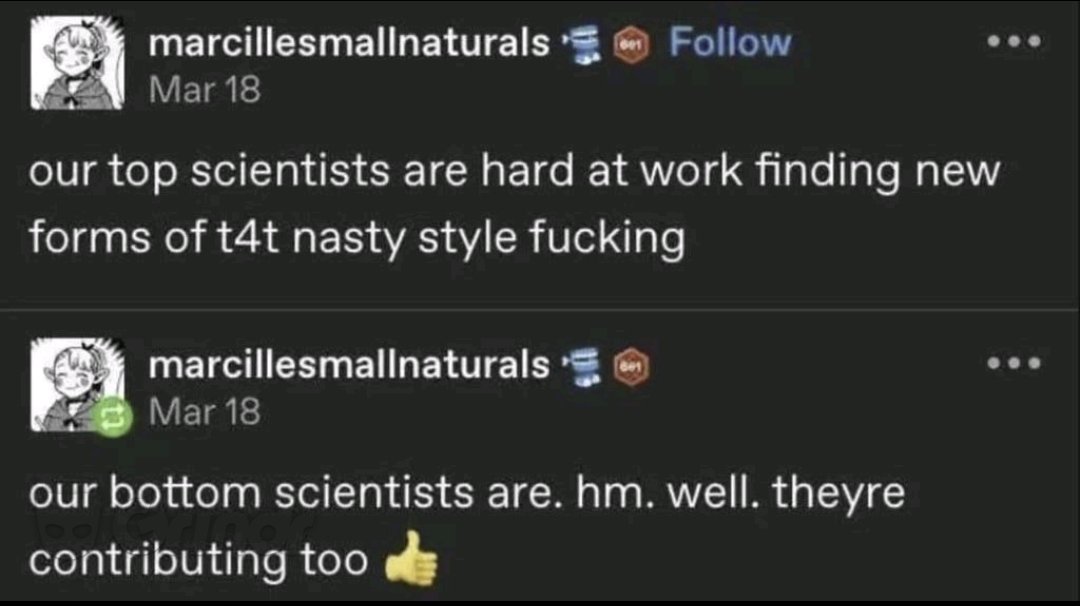 getting my doctorate in t4t studies as we speak