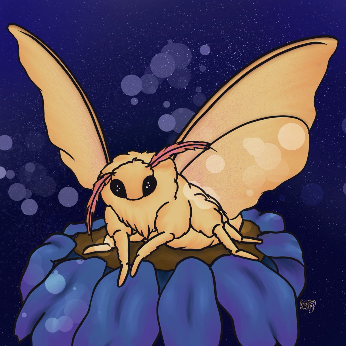 Fluffy moths! Doesn't matter if they're found at golden hour, sunset, or midnight... they are still my favorites.
#moth #digitalart #clipstudiopaint