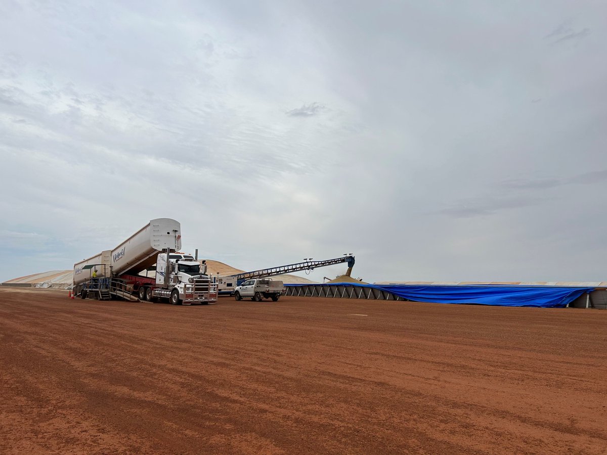 Harvest 24/25 📷 🌾 Call 1300 4 BUNGE option 2 for opening hours and pricing information. Follow us on insta bunge_wa for more snaps. #bunge #harvest #grain